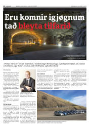 Síða 14