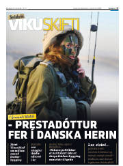 Síða 15
