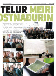 Síða 17