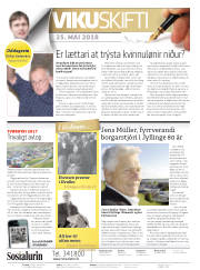 Síða 2