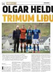Síða 14