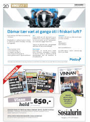 Síða 20