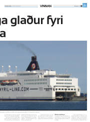 Síða 29