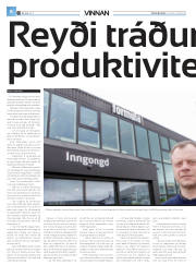 Síða 32