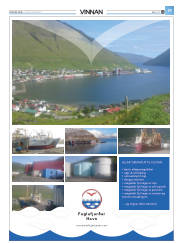 Síða 43