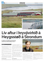Síða 46