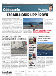 Síða 2