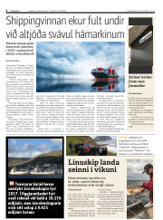 Síða 8