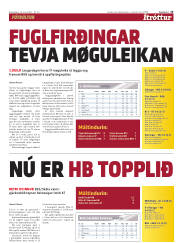Síða 15