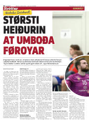 Síða 20