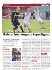 Síða 13