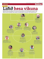 Síða 17