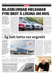 Síða 6