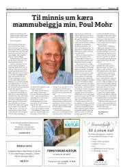 Síða 11