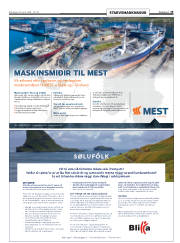 Síða 19