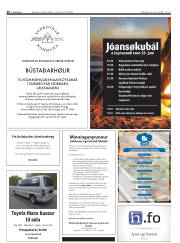 Síða 20