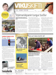 Síða 2