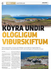 Síða 6