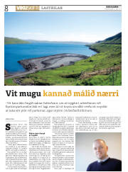 Síða 8