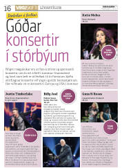 Síða 16