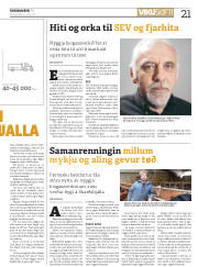 Síða 21