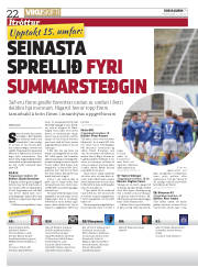 Síða 22