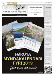 Síða 30