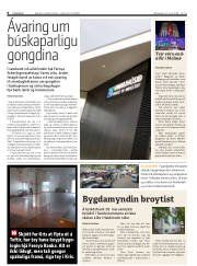 Síða 8