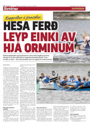 Síða 14