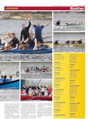 Síða 15