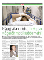 Síða 11