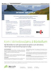 Síða 20