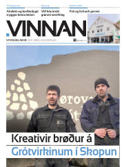 Síða 11