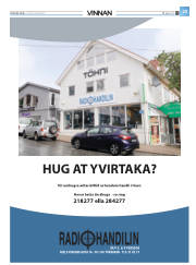 Síða 17