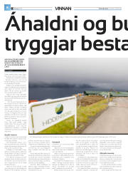 Síða 34