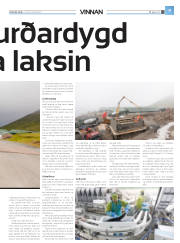 Síða 35