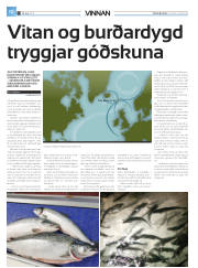 Síða 36