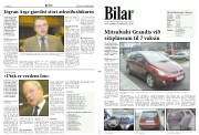 Síða 11
