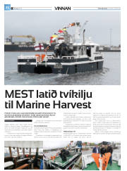 Síða 48