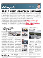 Síða 2