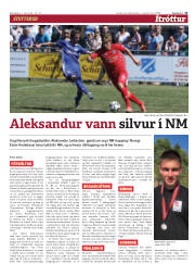 Síða 13