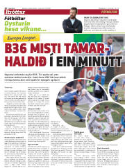 Síða 20