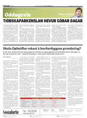 Síða 2