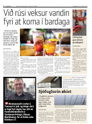 Síða 6