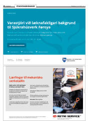 Síða 20