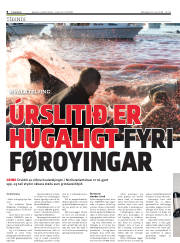 Síða 8