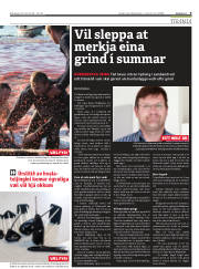Síða 9