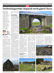 Síða 13
