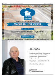 Síða 30