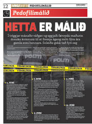 Síða 12